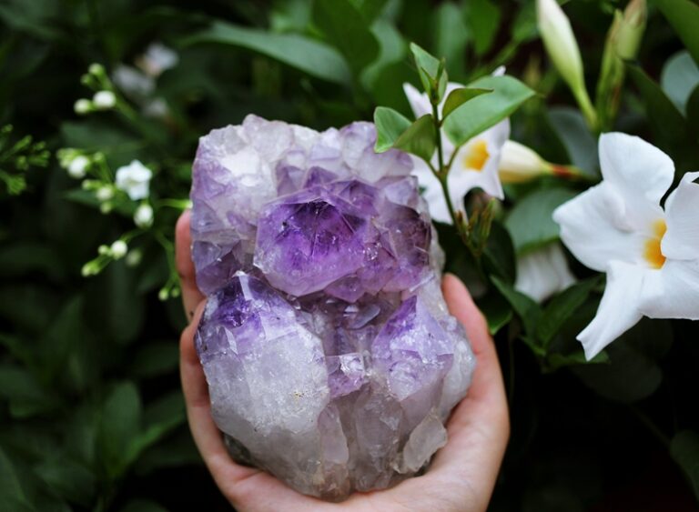 Idealne kamienie do roślin