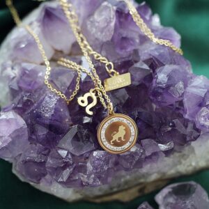 Naszyjnik LEW celebrytka znak zodiaku sklep Artsento