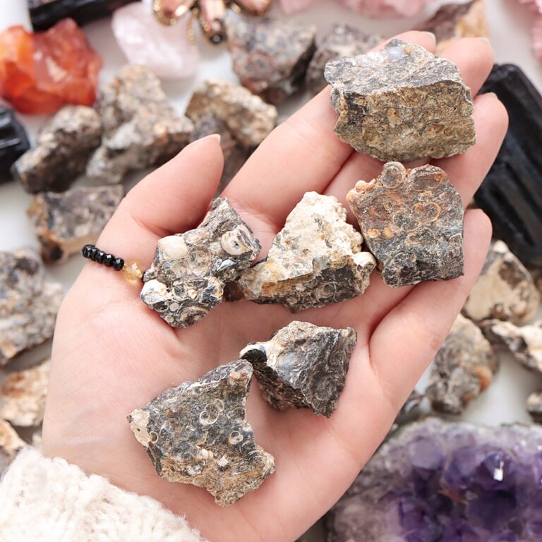 Agat muszlowy (Turritella) surowy