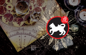 Opis znaku zodiaku Tygrys - horoskop chiński - amulet dla tygrysa