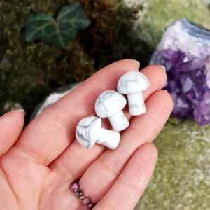 Howlit kryształowy grzybek