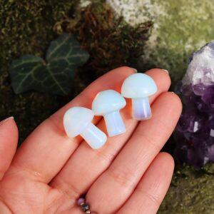 Opalit kryształowy grzybek