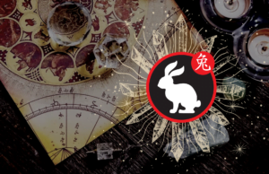 opis chińskiego znaku zodiaku królik / kot