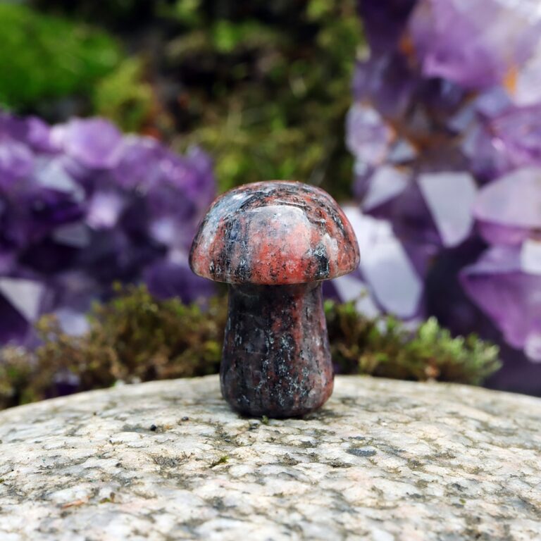 Red sesame czerwony sezam kryształowy grzybek