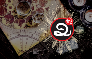 Wąż – opis chińskiego znaku