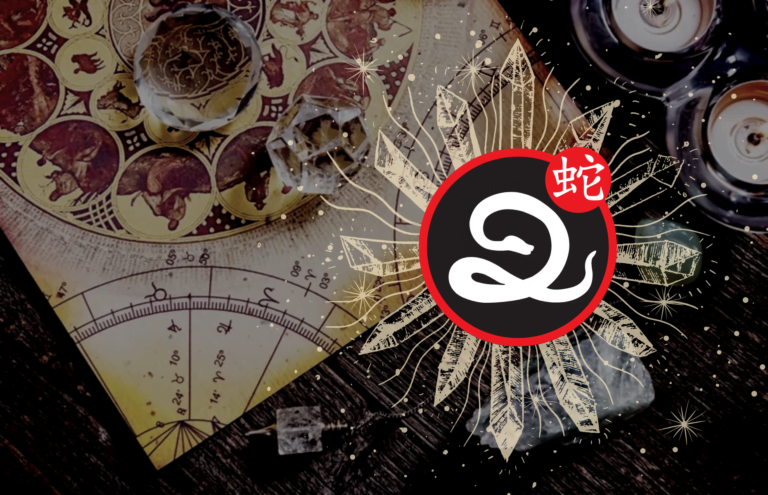 Wąż - opis chińskiego znaku