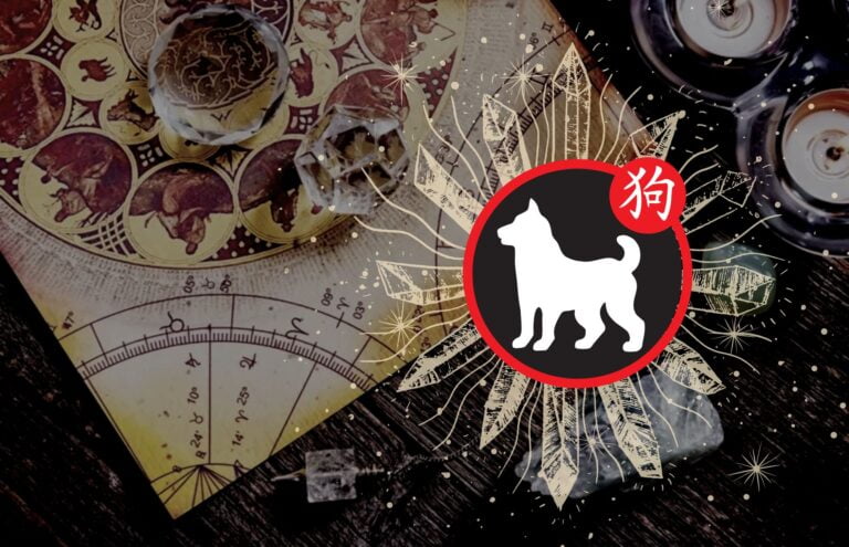 Pies – opis chińskiego znaku