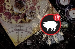 znak zodiaku świnia