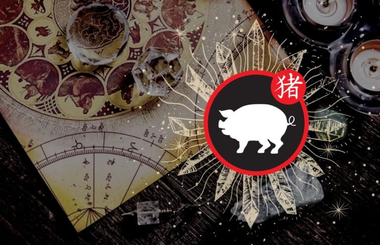 Świnia - opis znaku