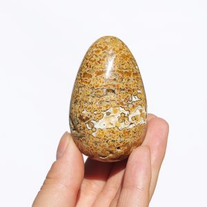 Jaspis orbikularny jajo jajko 6cm 113g